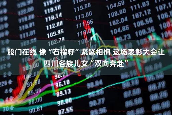 股门在线 像“石榴籽”紧紧相拥 这场表彰大会让四川各族儿女“双向奔赴”