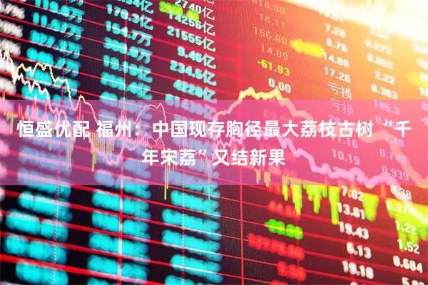 恒盛优配 福州：中国现存胸径最大荔枝古树 “千年宋荔”又结新果