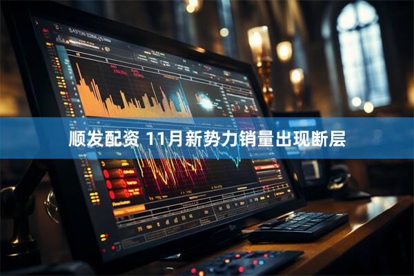 顺发配资 11月新势力销量出现断层