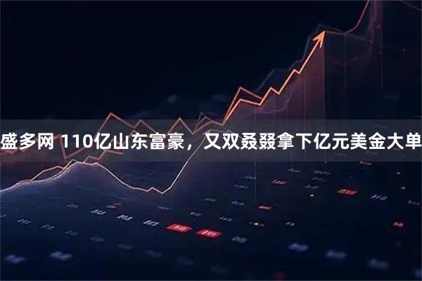 盛多网 110亿山东富豪，又双叒叕拿下亿元美金大单