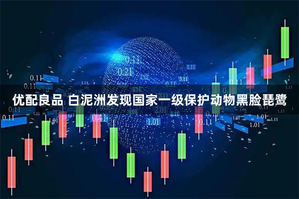 优配良品 白泥洲发现国家一级保护动物黑脸琵鹭