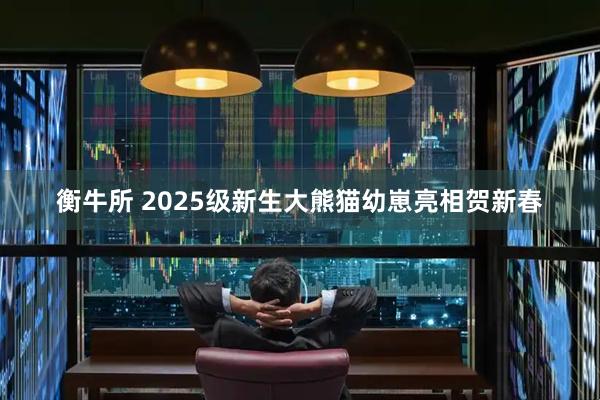衡牛所 2025级新生大熊猫幼崽亮相贺新春