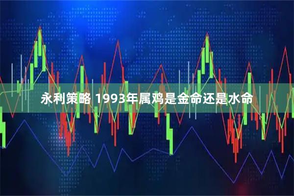 永利策略 1993年属鸡是金命还是水命